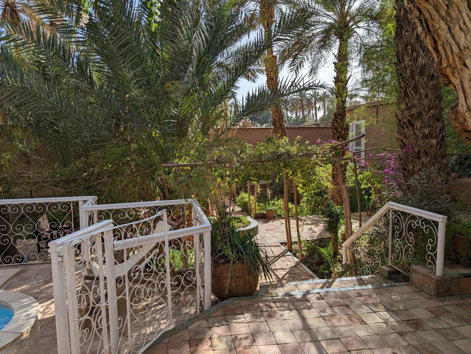 Villa Zagora Ma Villa Au Sahara Ngoại thất bức ảnh
