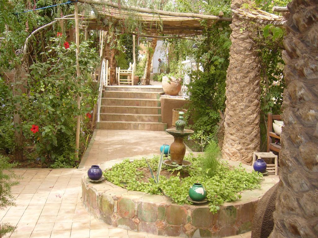Villa Zagora Ma Villa Au Sahara Ngoại thất bức ảnh
