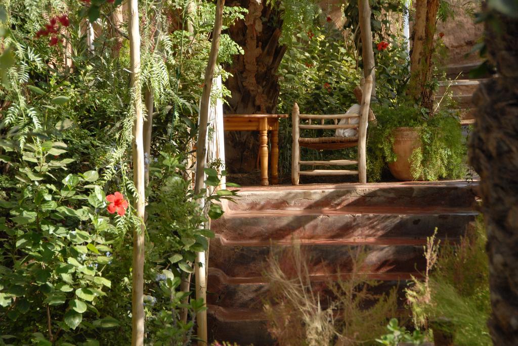 Villa Zagora Ma Villa Au Sahara Ngoại thất bức ảnh