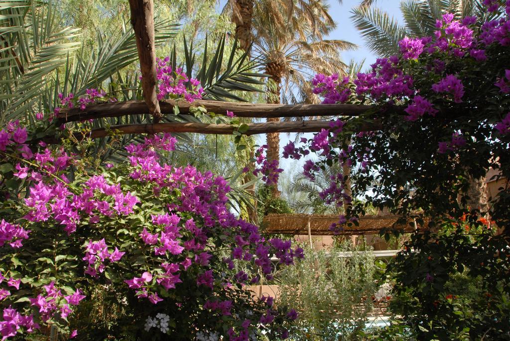 Villa Zagora Ma Villa Au Sahara Ngoại thất bức ảnh