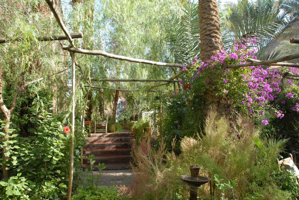 Villa Zagora Ma Villa Au Sahara Ngoại thất bức ảnh