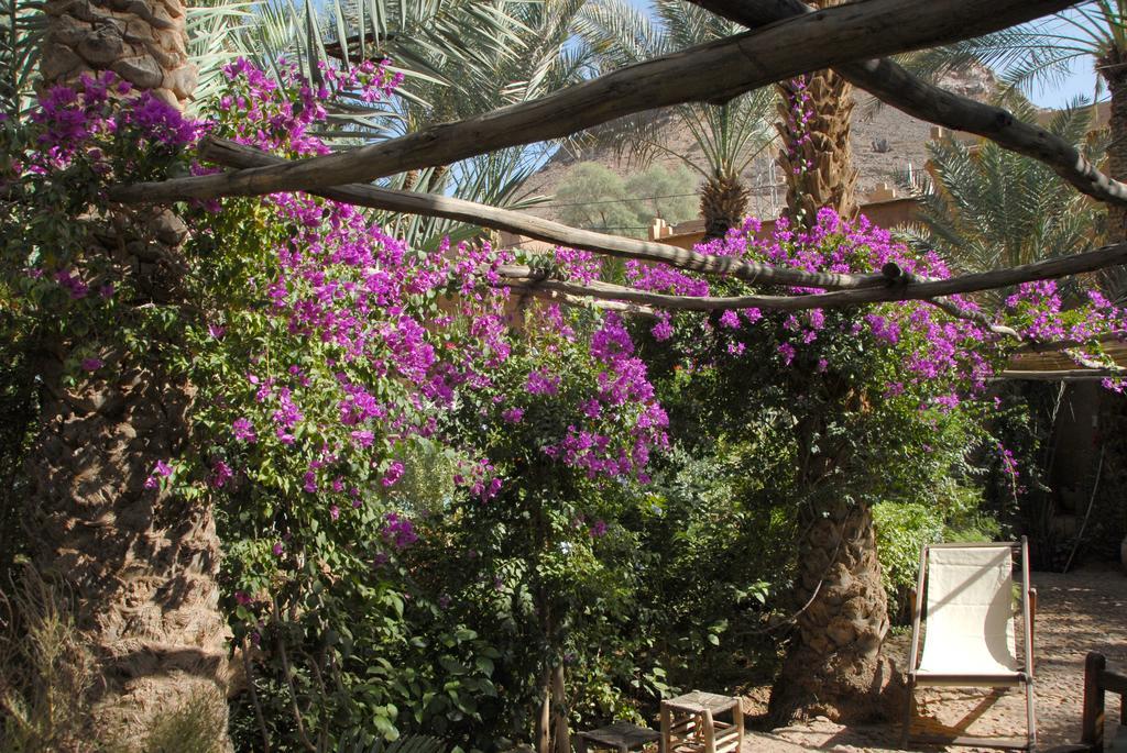Villa Zagora Ma Villa Au Sahara Ngoại thất bức ảnh
