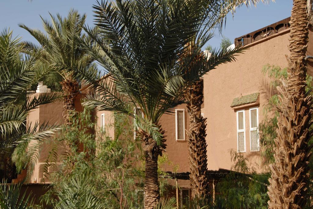 Villa Zagora Ma Villa Au Sahara Ngoại thất bức ảnh