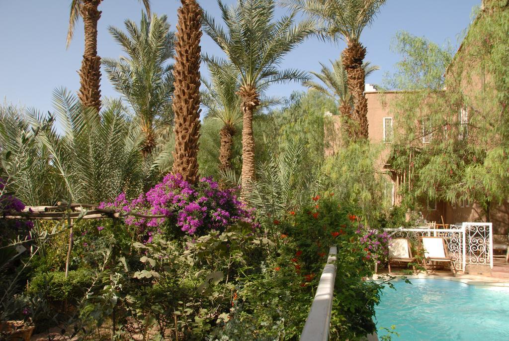 Villa Zagora Ma Villa Au Sahara Ngoại thất bức ảnh