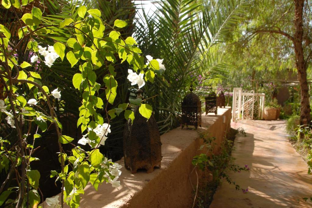 Villa Zagora Ma Villa Au Sahara Ngoại thất bức ảnh