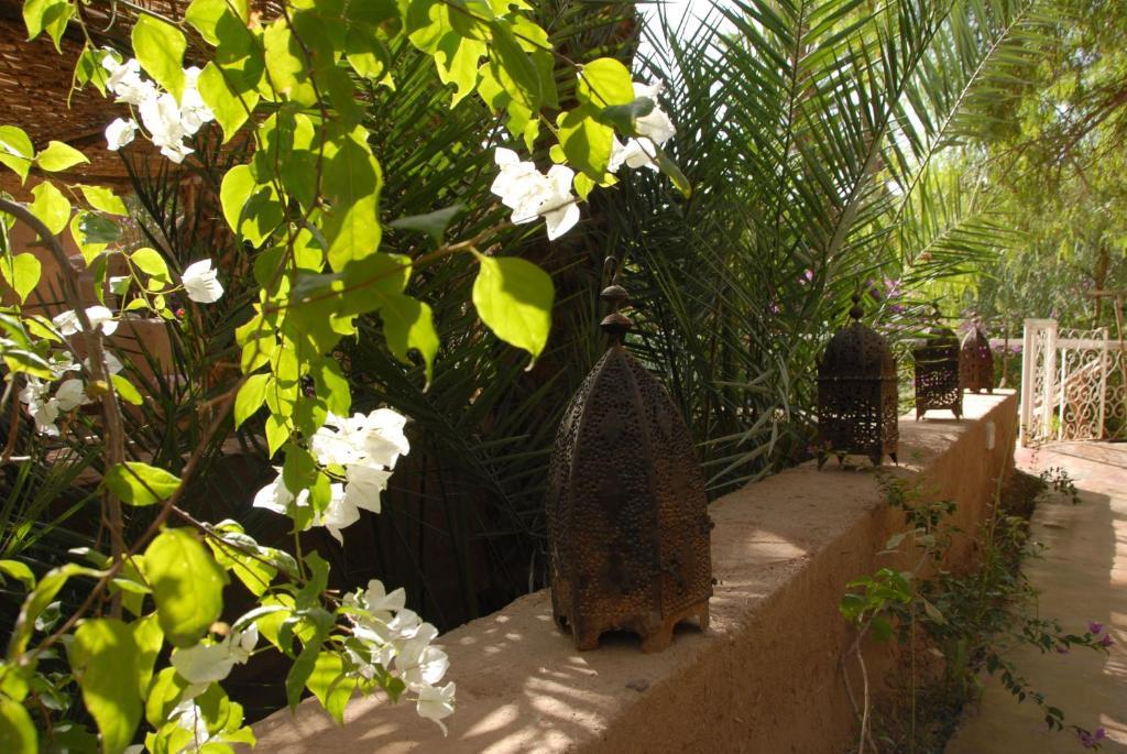 Villa Zagora Ma Villa Au Sahara Ngoại thất bức ảnh
